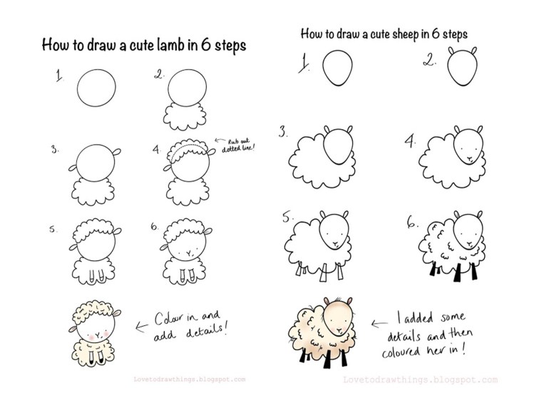image of how to draw sheep and lambs